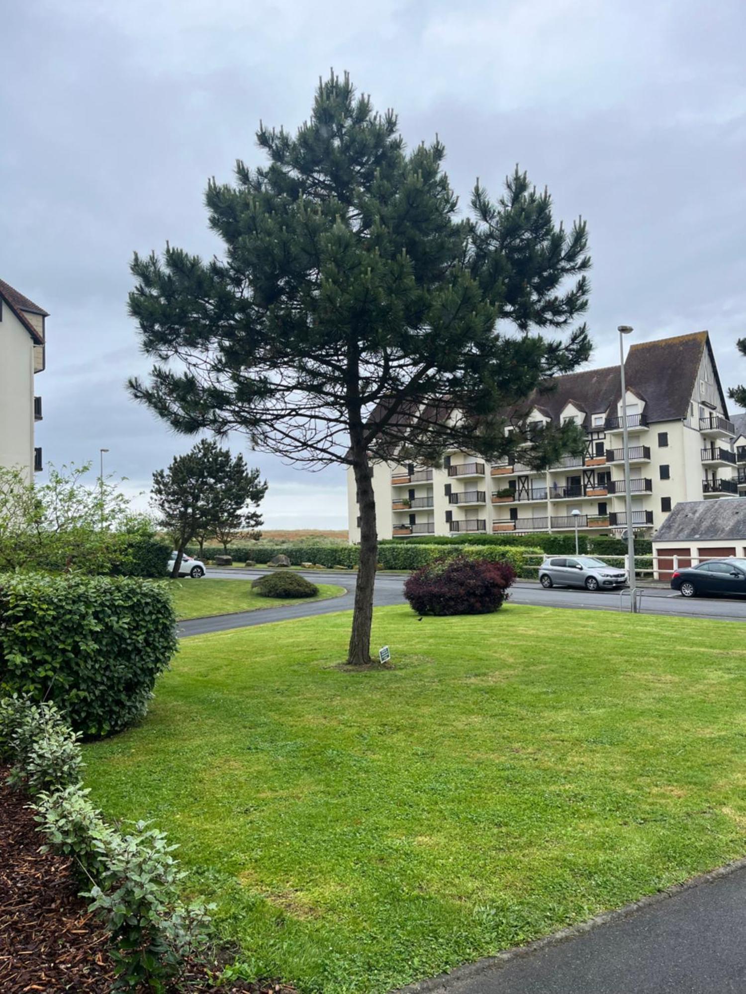 La Parenthese Cabourgeaise Lägenhet Exteriör bild